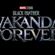 Black Panther Wakanda Forever